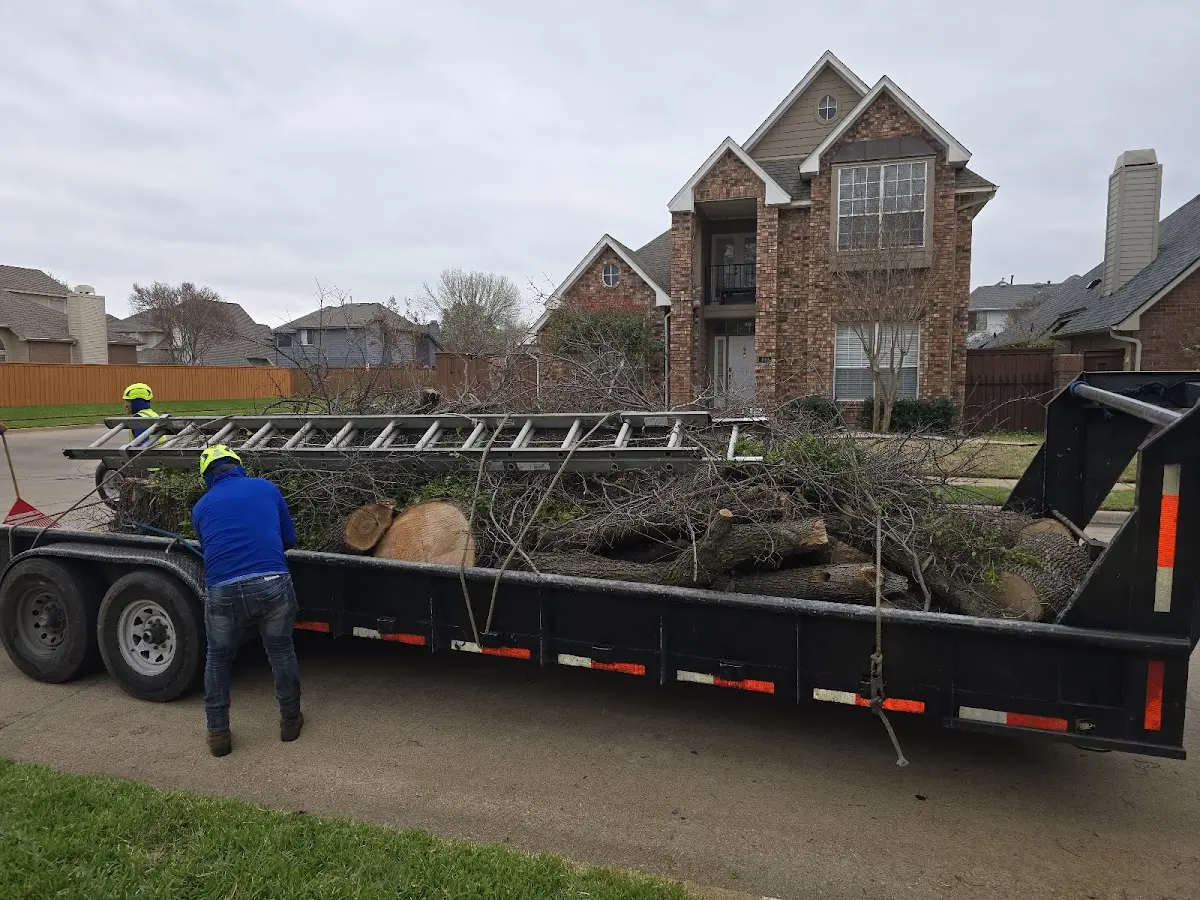 Expert Tree Fertilization with proper safety equipment in Sylvan Grove